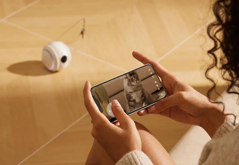 cameras to watch pets