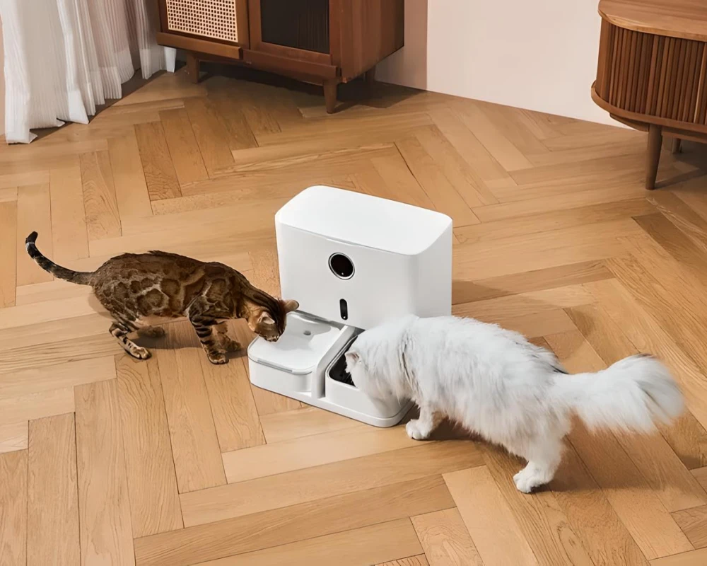 automatic feeder with camera
